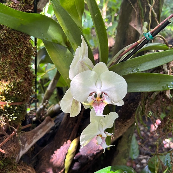 Meet your Posher, Maria - Picture 5 of 6